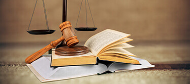 Bachelor of Information and Library Science (B. Lib. I. Sc)